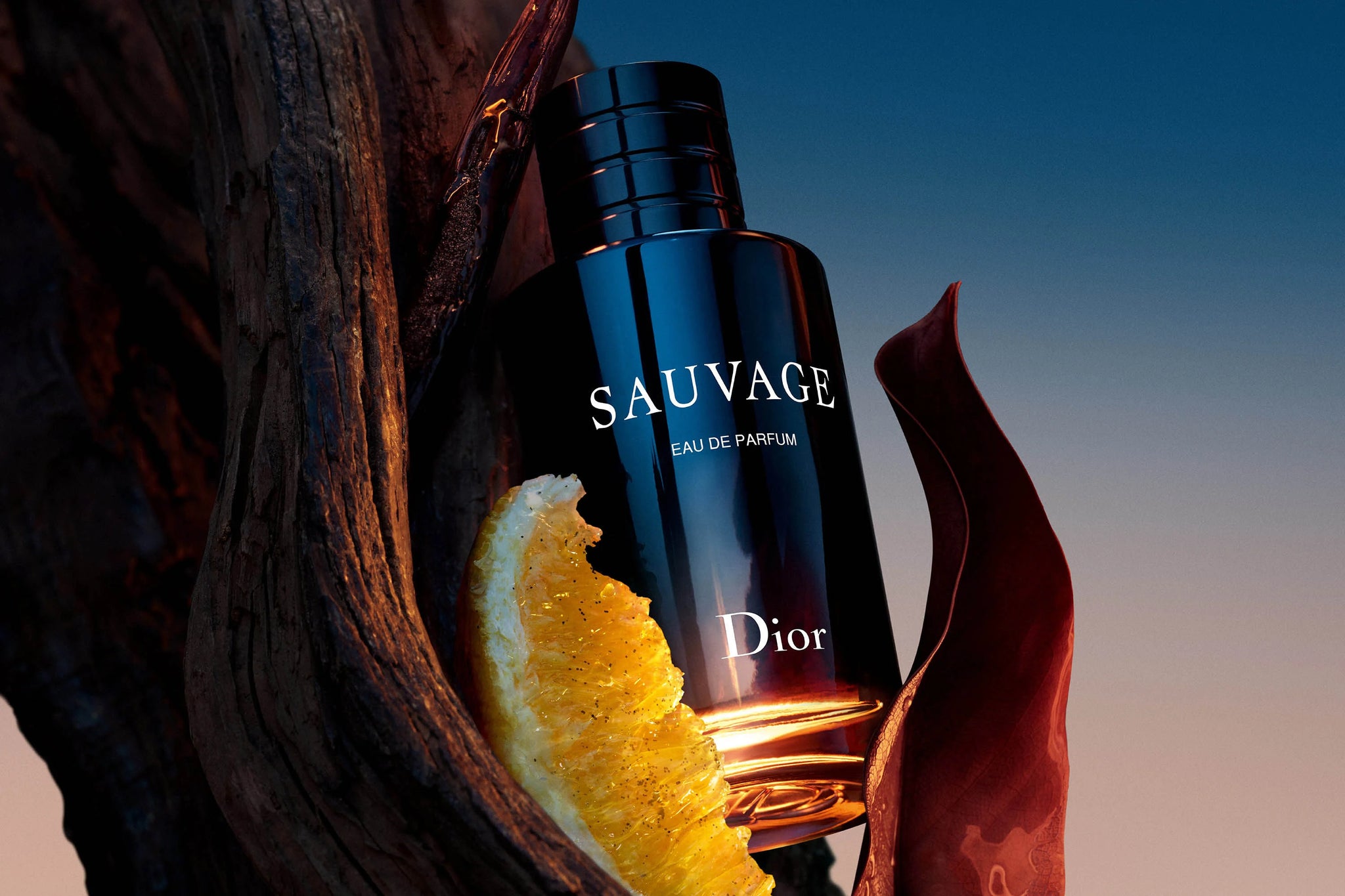 Sauvage Eau de Parfum Eau de Parfum - 100 ML